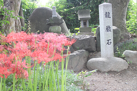 龍巌石と正身観音霊場